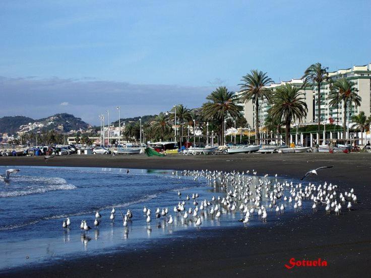 Apartamento El Dorado Cerca Del Mar Μάλαγα Εξωτερικό φωτογραφία